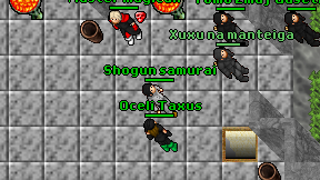 Shogun samurai on screen