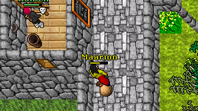 Maarion on screen