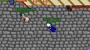 Bull Dog on screen