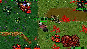 Arkanthoz on screen