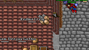 Kedma Crew on screen