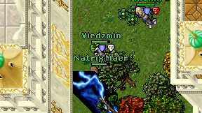 Natrix Maer on screen