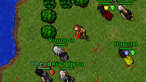 Viquara on screen