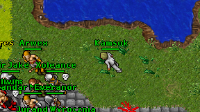 Kamsok on screen