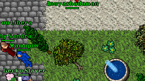 Inuyashadaman on screen