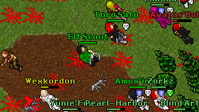 Elf Scout on screen