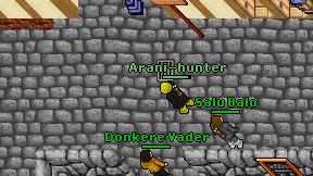 Arani-hunter on screen