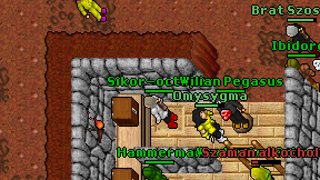 Sikor-octopus on screen