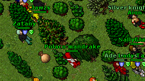 Polaco'mandrake on screen