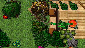 Panxita on screen