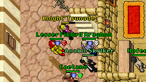 Knight'Tsunade on screen