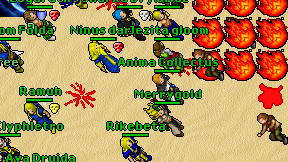 Anima Collectus on screen