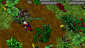 Dudzik Pogromca on screen