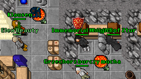 Immemorial Knightt on screen