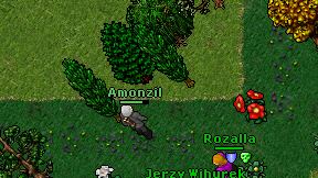 Amonzil on screen