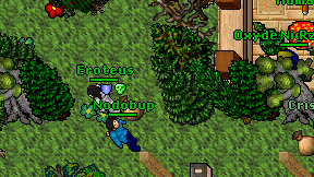 Nodobup on screen