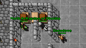 Rayden of Obsidia on screen
