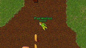 Parmulan on screen