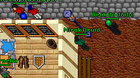 Mirok Druid on screen