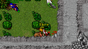 Ekre on screen