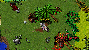 Reki on screen