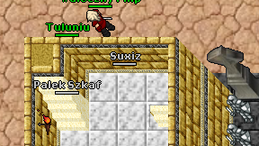 Suxiz on screen