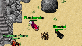 Flasherzin on screen