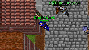 Duni Shark on screen