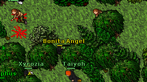 Bonita Angel on screen