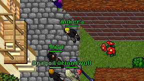 Ankera on screen