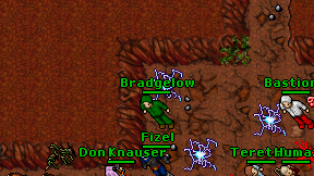 Bradgelow on screen