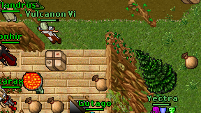 Vulcanon Vi on screen