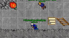 Misiekpaladyn on screen