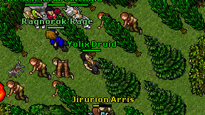 Yolix Druid on screen