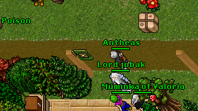 Antheas on screen