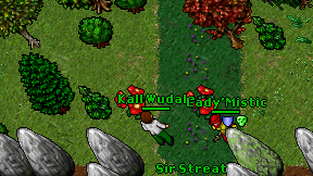 Kall Wudale on screen