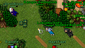 Halft on screen