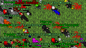 Nerso on screen