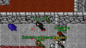 Agariot on screen