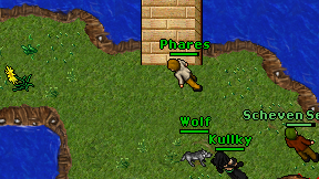 Phares on screen
