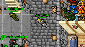 Sir Zilda on screen
