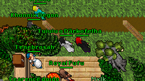 Darkofelha on screen