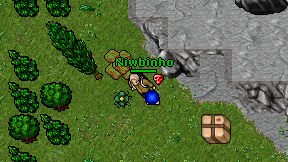 Niwbinho on screen