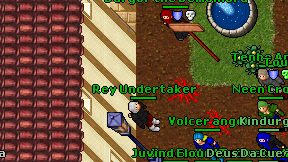 Rey Undertaker on screen