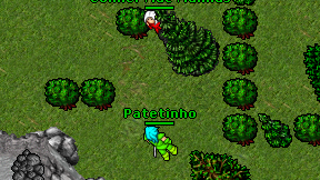 Patetinho on screen