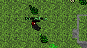 Rambo Fire on screen