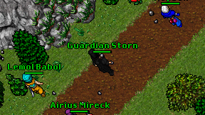 Guardian Storn on screen