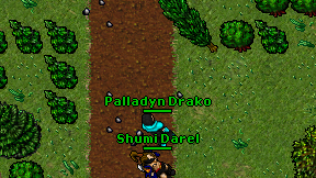 Palladyn Drako on screen