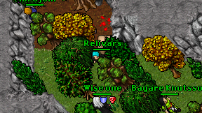 Relivars on screen