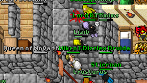 Lizib on screen